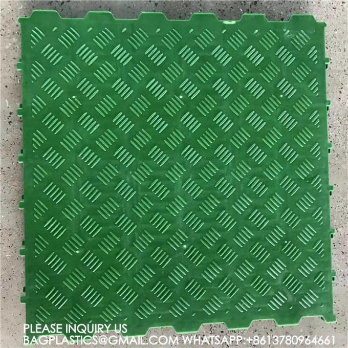 600*600mm Plastic Slats Blind Floor For Pig Farrowing Crate Equipment automatic pig injection 12