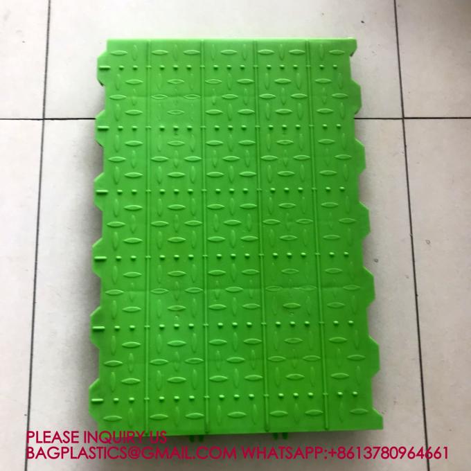 600*600mm Plastic Slats Blind Floor For Pig Farrowing Crate Equipment automatic pig injection 6