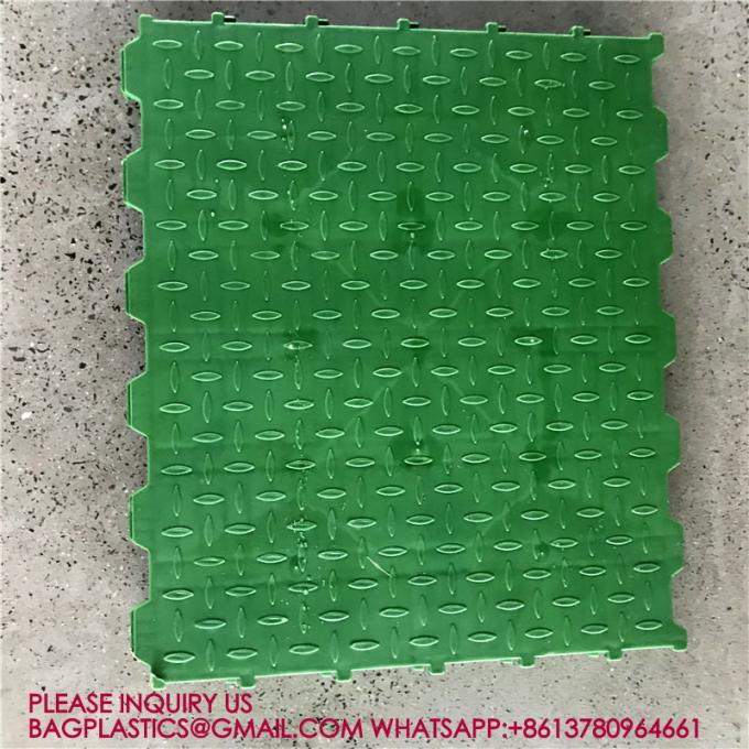 600*600mm Plastic Slats Blind Floor For Pig Farrowing Crate Equipment automatic pig injection 4