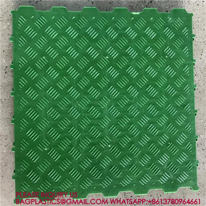 600*600mm Plastic Slats Blind Floor For Pig Farrowing Crate Equipment automatic pig injection 3