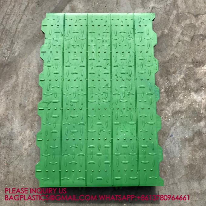 600*600mm Plastic Slats Blind Floor For Pig Farrowing Crate Equipment automatic pig injection 2